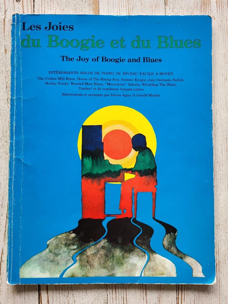 Boogie en Blues Pianoboek, Gebruikt, Les of Cursus, Ophalen of Verzenden, Blues