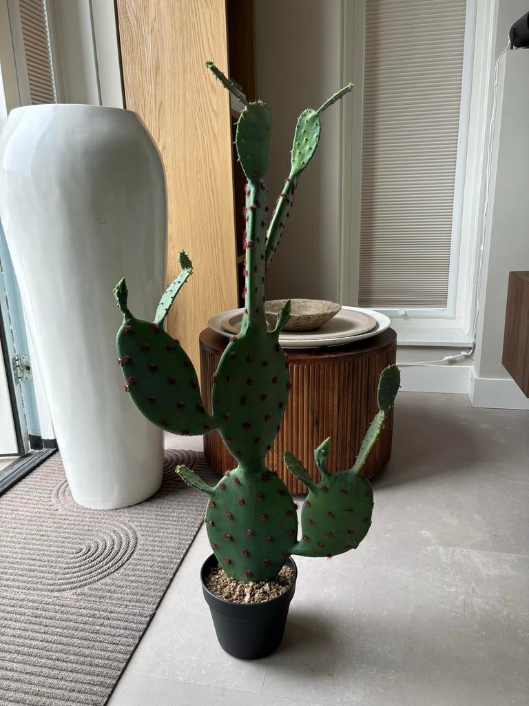 Prachtige kunstcactus, Minder dan 100 cm, Groene kamerplant, Halfschaduw, Ophalen of Verzenden