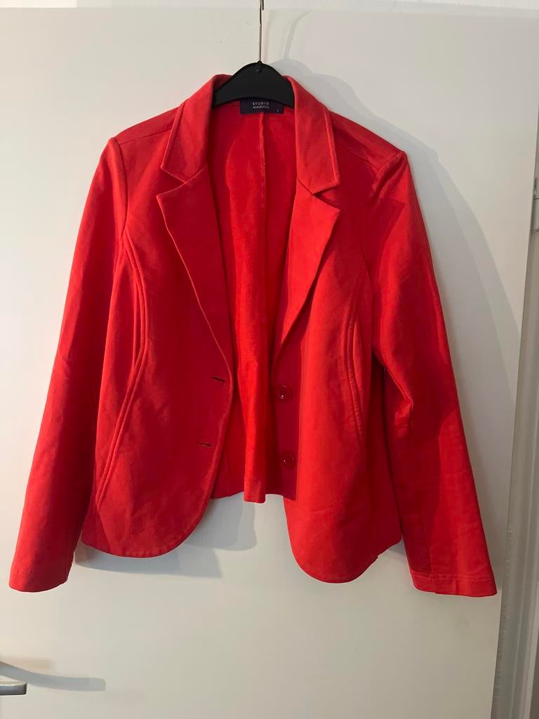 Maat l Studio Anneloes, Maat 42/44 (L), Ophalen of Verzenden, Zo goed als nieuw, Jasje