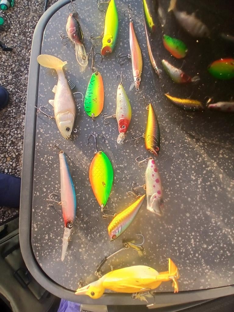 Roofvislokmiddelen, drijvers, karpervoeders, zoekmagnet., Ophalen of Verzenden