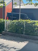 Smeedijzeren hekwerk met looppoort en doorrijpoort ca 43 m1, Ophalen, Met poort, Gebruikt, Sierhekwerk