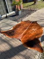 Grote mooie kastanjebruine koeienhuid 230x210cm, Ophalen, Bruin, 200 cm of meer, Zo goed als nieuw