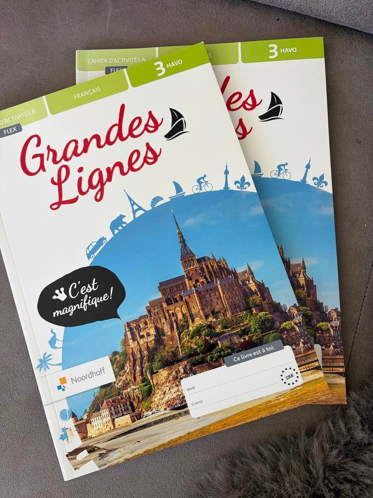 Grandes Lignes Franse schoolboeken  Havo / Mbo, Ophalen of Verzenden, Zo goed als nieuw, Non-fictie