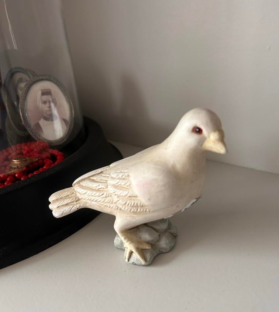 Lief duifje…, Ophalen of Verzenden