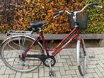 Giant Tourer, Ophalen, Versnellingen, Giant, 53 tot 56 cm