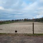 Stalling vrij, Dieren en Toebehoren, Stalling en Weidegang, Weidegang