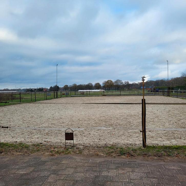 Stalling vrij, Dieren en Toebehoren, Stalling en Weidegang, Stalling, Weidegang