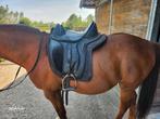 EDIX LIBRE ZADEL ( BOOMLOOS PONY ZADEL ), Ophalen of Verzenden, Zo goed als nieuw