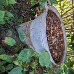 zinken teil, Ophalen, Overige materialen, Gebruikt, Tuin