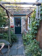 druivenstokken, Ophalen, Vaste plant, Klimplanten, Volle zon