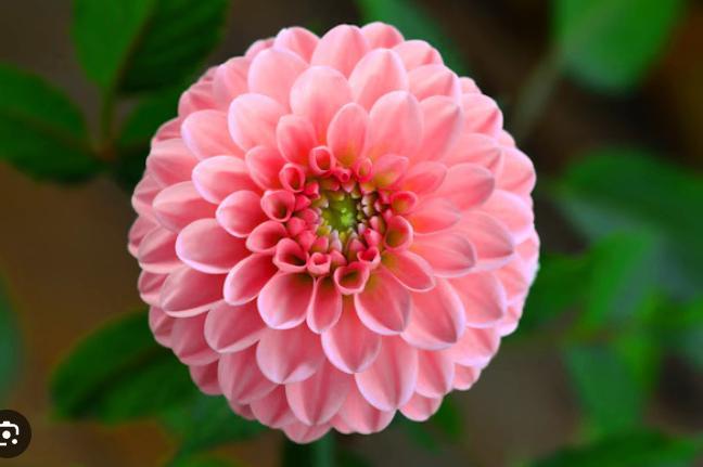 Zoek jij mij, zoek ik jouw, Contacten en Berichten, Man zoekt Vrouw