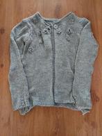 Muisgrijs grof gebreid vestje, Ophalen of Verzenden, Nieuw, Maat 38/40 (M), Grijs