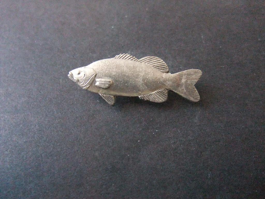 Baars (bluegill) zoetwatervis , pin, Ophalen of Verzenden, Gebruikt, Overige onderwerpen