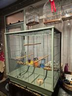 Vogelkooi zo goed als nieuw, Dieren en Toebehoren, Vogels | Hokken en Kooien, Ophalen of Verzenden, Zo goed als nieuw, Metaal