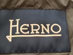 HERNO Jas super pasvorm met groene kleur maat 58, Verzenden, HERNO, Groen, Maat 56/58 (XL)