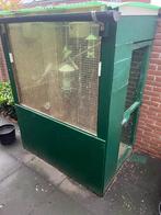 4 parkieten eventueel met voliere, Dieren en Toebehoren, Vogels | Parkieten en Papegaaien, Geslacht onbekend, Parkiet, Tam