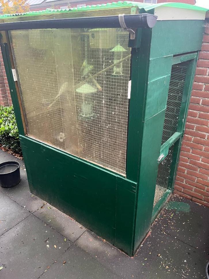 4 parkieten eventueel met voliere, Dieren en Toebehoren, Vogels | Parkieten en Papegaaien, Parkiet, Geslacht onbekend, Tam