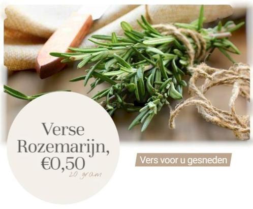 Verse Rozemarijn - Kruiden, voor slechts €0,50., Diversen, Levensmiddelen, Ophalen of Verzenden