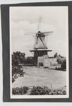 welsum gezicht op de molen, Verzamelen, Ansichtkaarten | Nederland, Verzenden, 1960 tot 1980, Gelopen, Overijssel