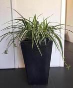 Grote cascade zware terracotta geglazuurde bloempotten, Tuin en Terras, Bloempotten, 25 tot 40 cm, Binnen, Ophalen of Verzenden