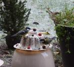 vogelvoertaart vogeltaart vogelvoer NIEUW alleen ophalen, Ophalen, Nieuw, Eten en Drinken