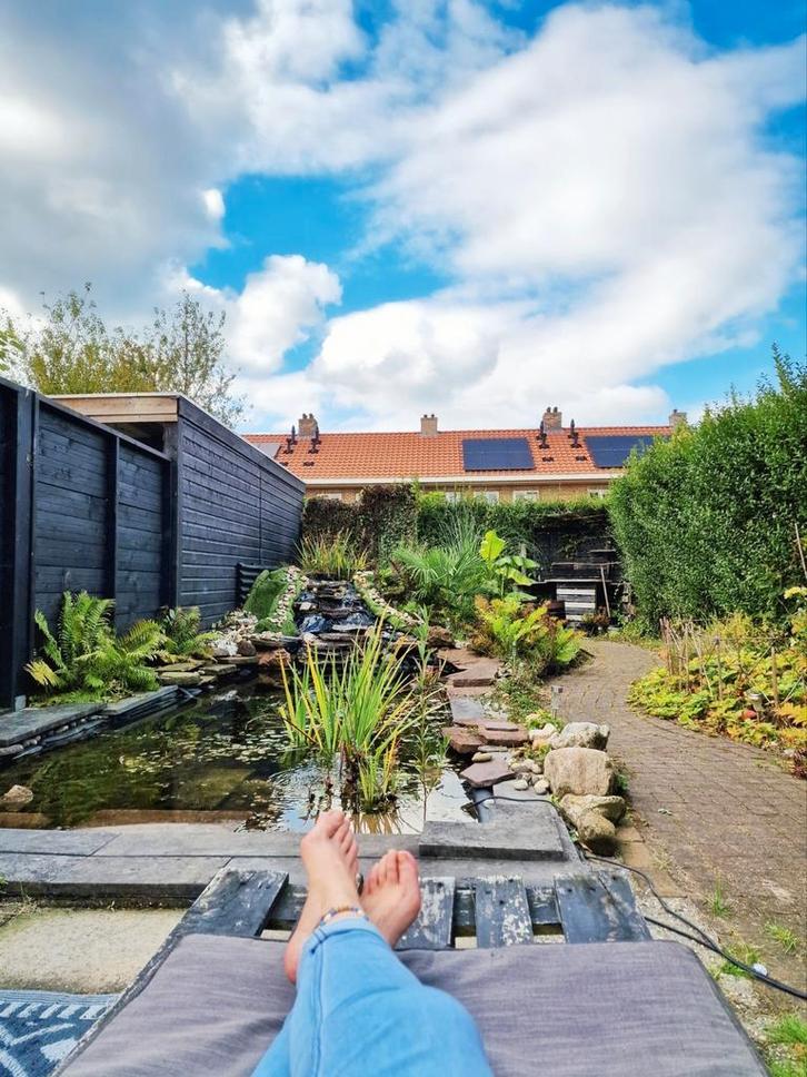 Complete (biologische) vijver, Tuin en Terras, Vijvers, Gebruikt, Ophalen