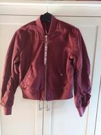 Bomberjack donkerrood. Xs, Kleding | Dames, Ophalen of Verzenden, Zo goed als nieuw, Maat 34 (XS) of kleiner, Rood