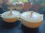 Kleine grote pastel soepterrine regout royal sphinx, Ophalen of Verzenden