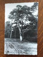 Ede - De Traa, Verzenden, 1940 tot 1960, Gelopen, Gelderland