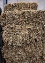 Kleine pakken stro, Dieren en Toebehoren, Ophalen