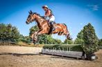 super knappe E pony all rounder, Dieren en Toebehoren, Ruin