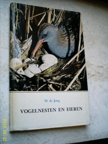 Vogelnesten en eieren. beschikbaar voor biedingen