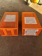 Pluimvee kratten, Ophalen, Nieuw, Drinken en Voederen