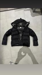 Burberry Pufferjas, Kleding | Heren, Ophalen of Verzenden, Nieuw