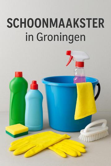 Schoonmaakster beschikbaar in Groningen beschikbaar voor biedingen
