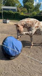 Gezocht, opblaas/skippyballen en paardenspeelgoed!, Ophalen of Verzenden