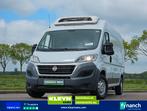 FIAT DUCATO 2.3 l2h2 koelwagen d/n!, Navigatiesysteem, Gebruikt, Euro 6, Wit