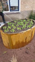 Ovale / ellips corten plantenbak 150x100x73cm, Ophalen, Steen, 100 cm of meer, Nieuw