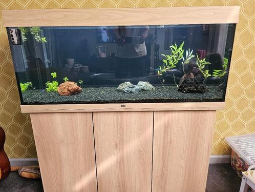 Aquarium Juwel Rio 240 Led met extern filter en co2 set, Dieren en Toebehoren, Vissen | Aquaria en Toebehoren, Gebruikt, Leeg aquarium