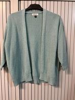 Leuk groen kleurig glittervestje, Ophalen of Verzenden, Zo goed als nieuw, Maat 38/40 (M), Groen