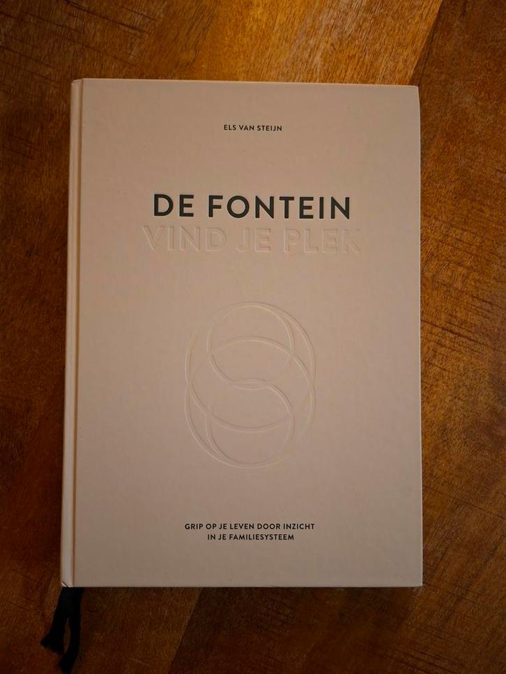 Els van Steijn - De fontein, vind je plek, Boeken, Psychologie, Zo goed als nieuw, Ophalen of Verzenden