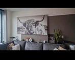 Canvas met hooglander 180x100, Ophalen