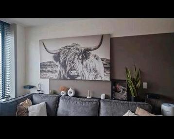 Canvas met hooglander 180x100 beschikbaar voor biedingen