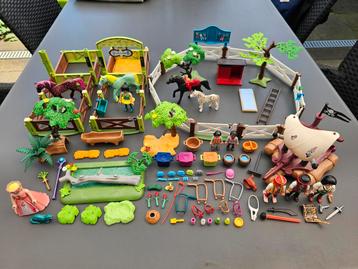 Playmobil paarden, weide, paardenbox, piraten en meer