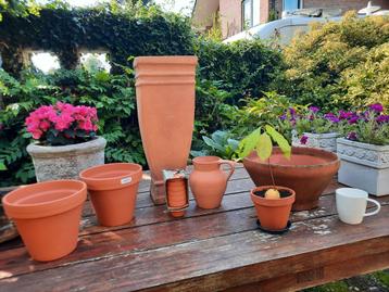 6 stuks mooie terracotta bloempotten + 1 gratis beschikbaar voor biedingen