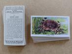 The Sea-Shore complete set 50 cigarette cards 1938 Wills, Ophalen