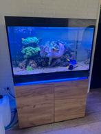 Zoutwater aquarium Eheim marine 430 incl toebehoren, Dieren en Toebehoren, Vissen | Aquaria en Toebehoren, Ophalen of Verzenden
