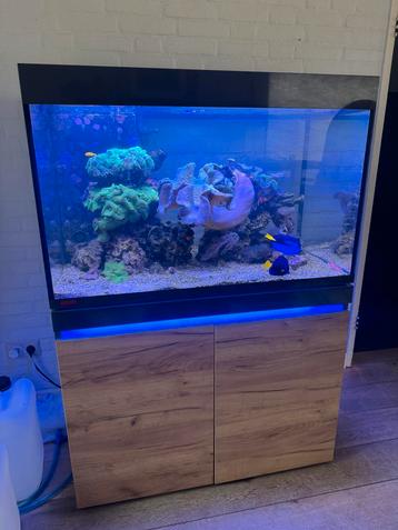 Zoutwater aquarium Eheim marine 430 incl toebehoren beschikbaar voor biedingen