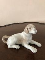 Nao by Lladro porselein hond, Ophalen of Verzenden, Zo goed als nieuw, Dier