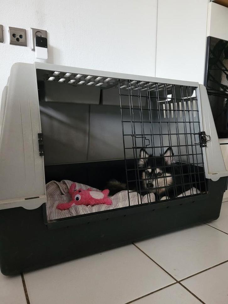 XXL Bench Groot 100x60x66 auto / huis Ferplast, Dieren en Toebehoren, Hondenbenches, Gebruikt, Ophalen